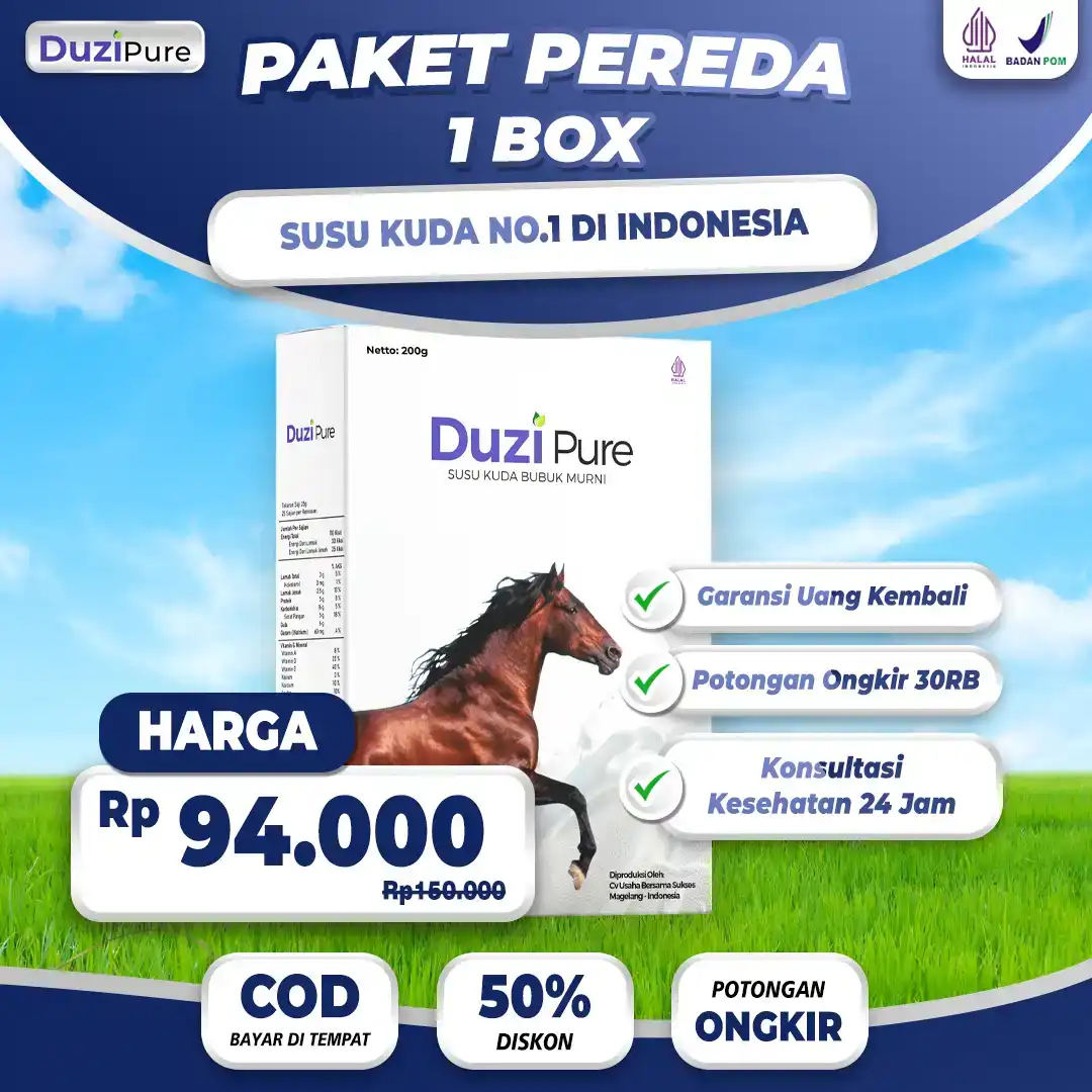 paket-1.png