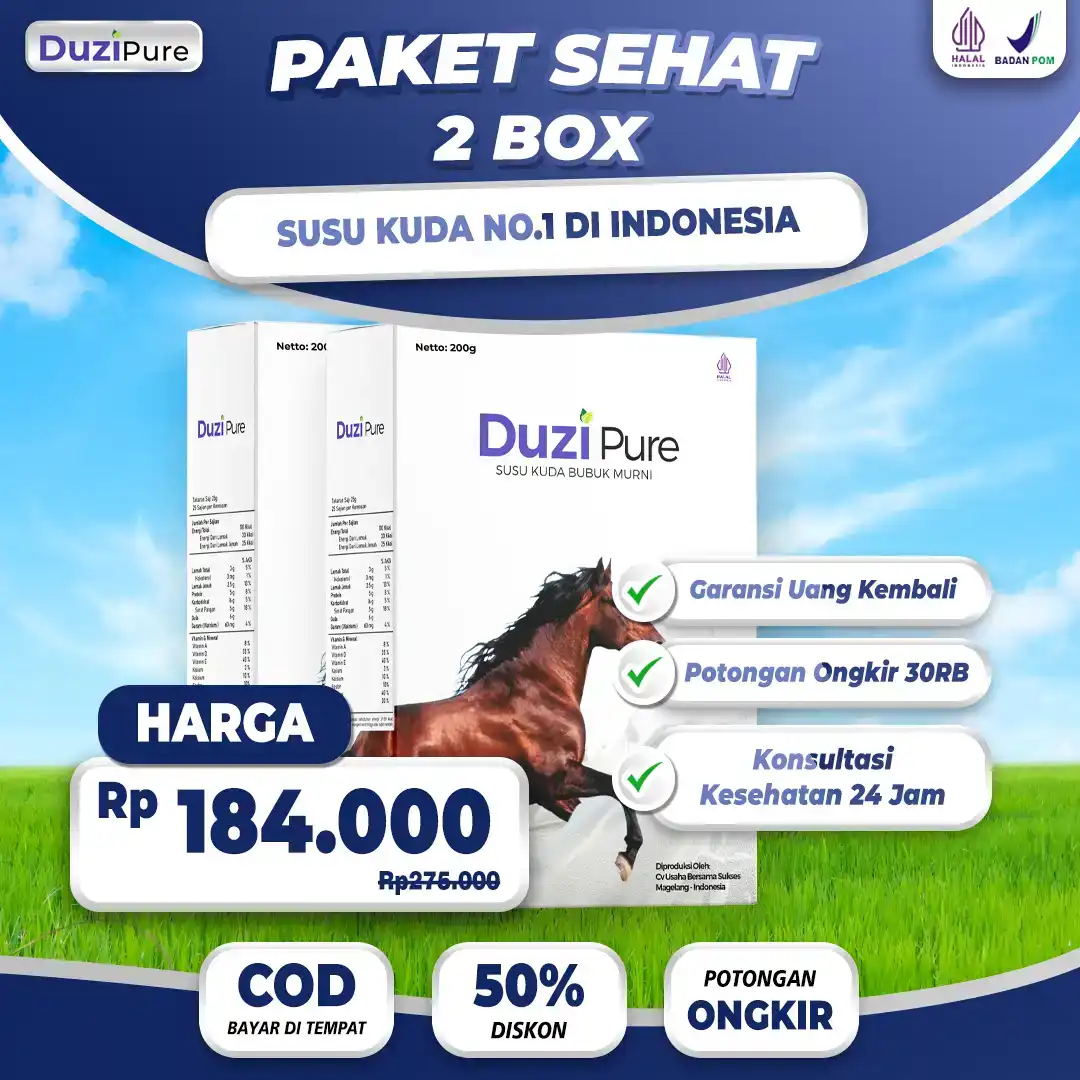 paket-2.png
