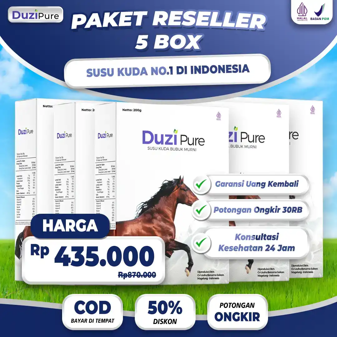 paket-5.png