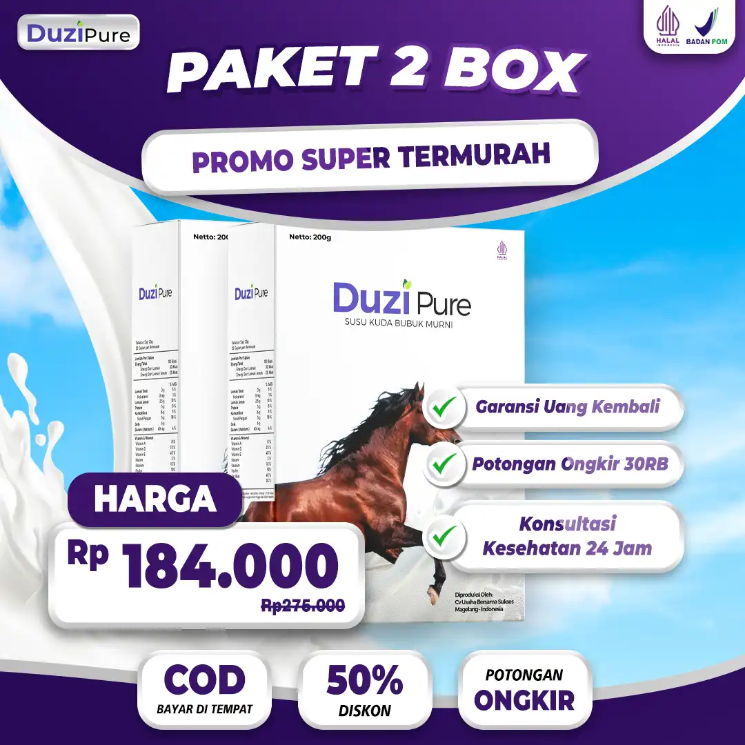 paket2